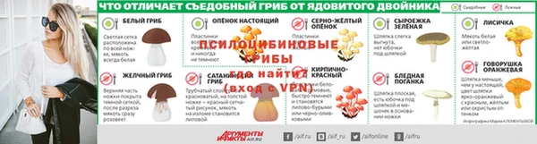 ПСИЛОЦИБИНОВЫЕ ГРИБЫ Алексин