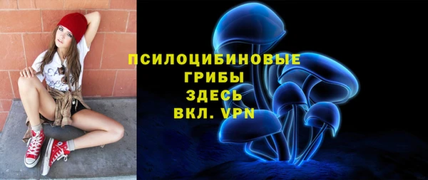 ГАЛЛЮЦИНОГЕННЫЕ ГРИБЫ Алексеевка