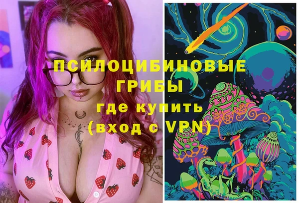 ГАЛЛЮЦИНОГЕННЫЕ ГРИБЫ Алексеевка