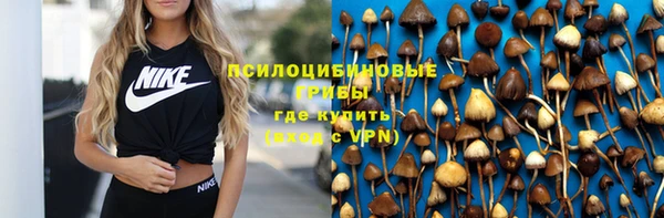 молекула духа Алзамай