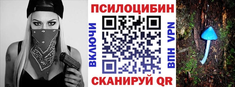 Псилоцибиновые грибы Cubensis  Морозовск 